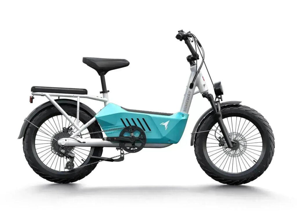 Cargo & utility electric bike