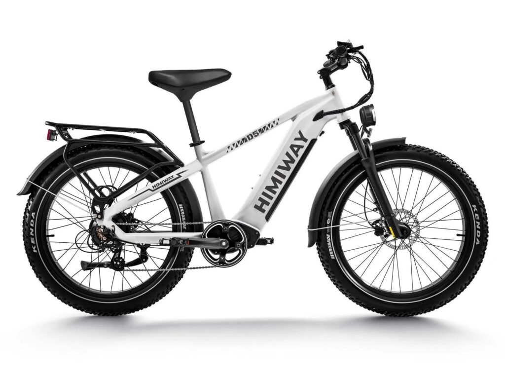 Himiway D5 Zebra 750W All-Terrain Fat Tire Electric Bike
