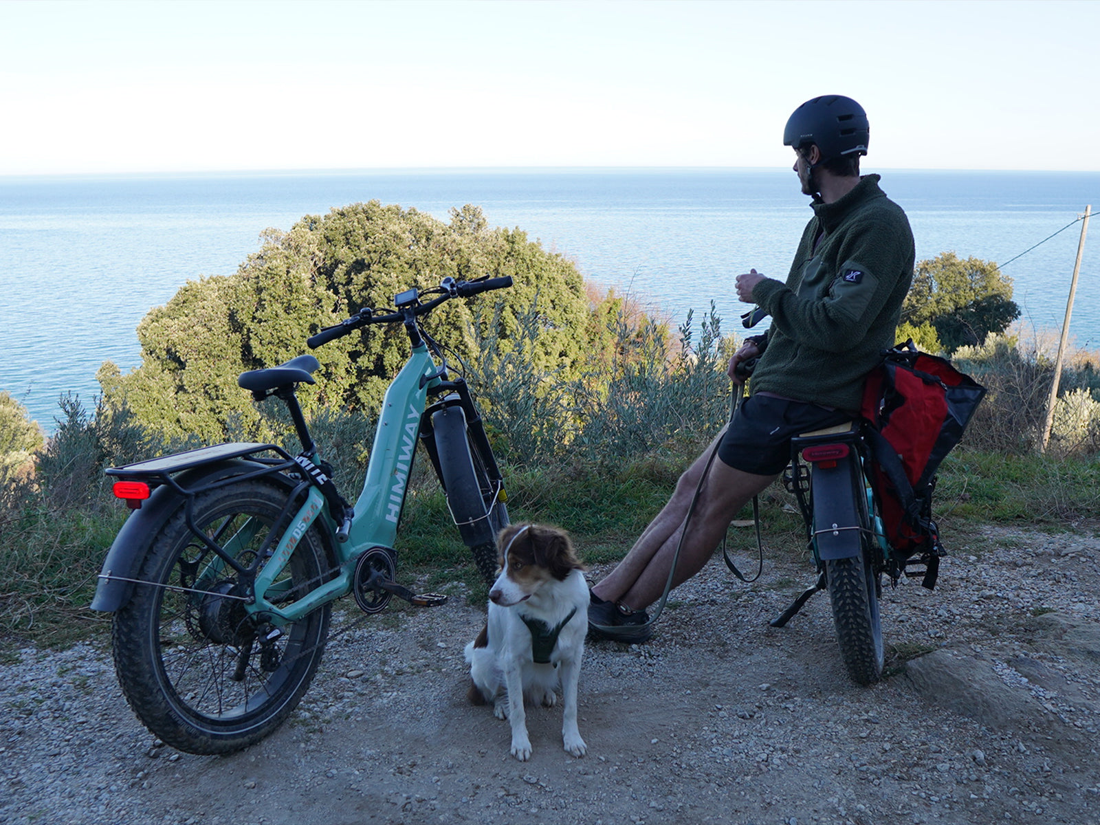 Himiway D5 ST Zebra 750W Step-Thru Fat Tire Electric Bike - Image 6