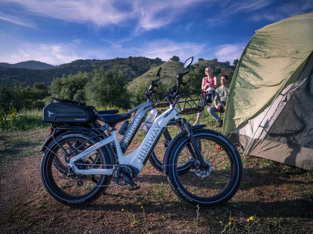 Fat tire electric bike