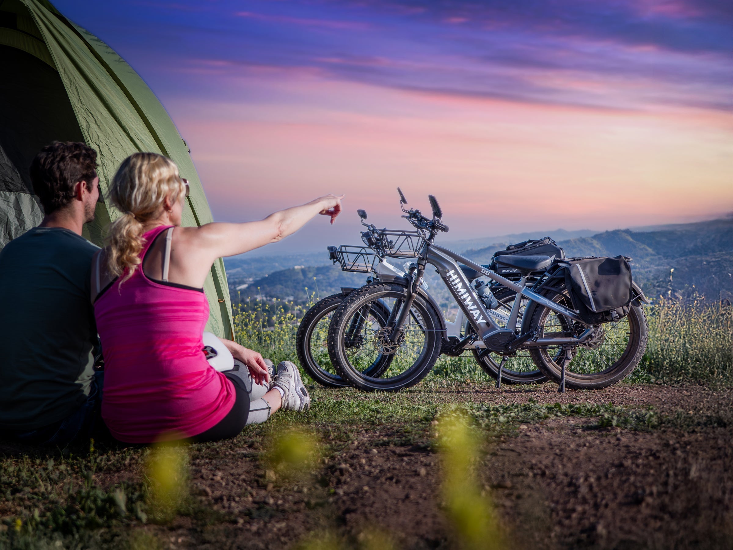 Himiway D5 ST Zebra 750W Step-Thru Fat Tire Electric Bike - Image 8